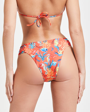 Slip Tropea