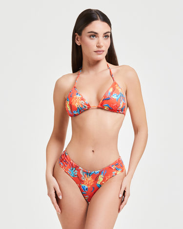 Slip Tropea