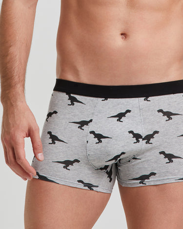 Boxer cotone Dinos